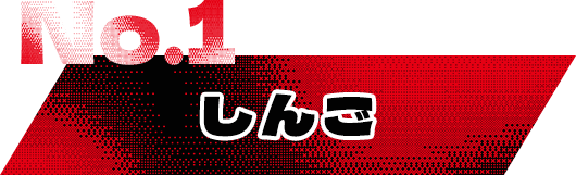 NO.1 しんご